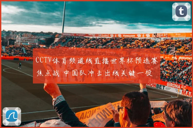 CCTV体育频道线直播世界杯预选赛焦点战 中国队冲击出线关键一役
